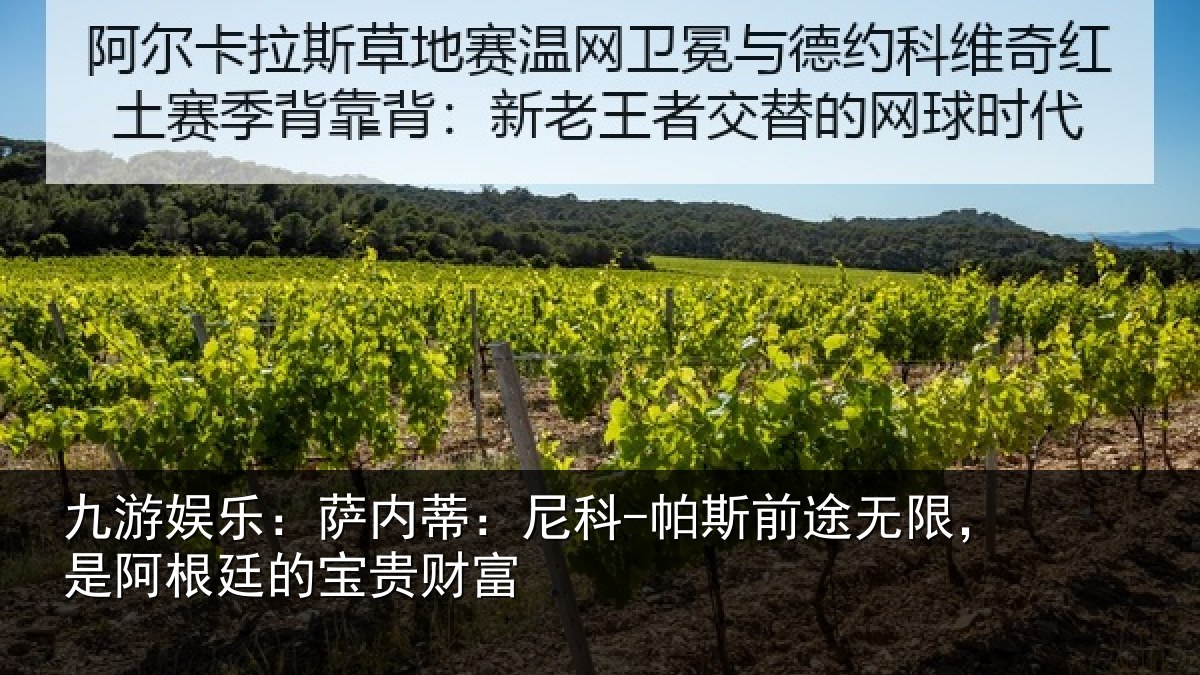 九游娱乐：萨内蒂：尼科相关情况贵财富