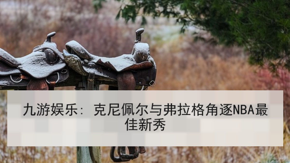 九游娱乐: 克尼佩尔与弗拉格角逐NBA最佳新秀