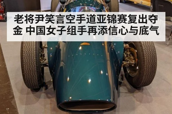 老将尹笑言空手道亚锦赛复出夺金 中国女子组手再添信心与底气